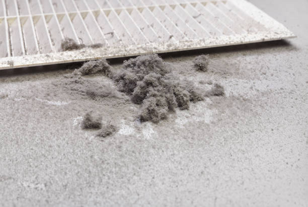 Best Local Air Duct Cleaning Services  in Simi Valley, CA