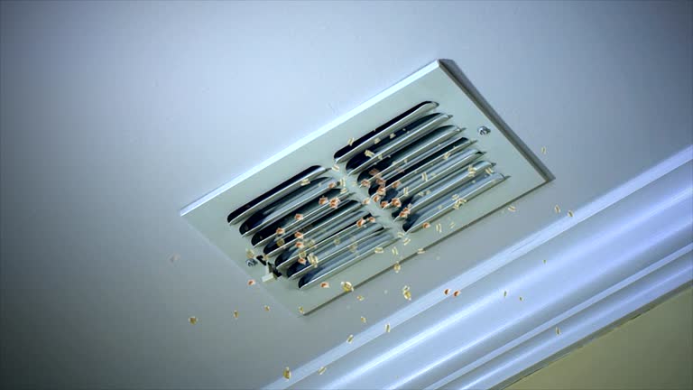 Best HVAC Duct Inspection Services  in Simi Valley, CA